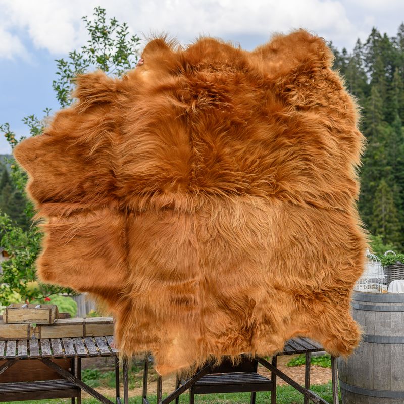 Schottisches Hochlandrindfell „Hercules“ – Rustikale Eleganz für dein Zuhause Schottisches Hochlandrindfell „Hercules“ – Rustikale Eleganz für dein Zuhause