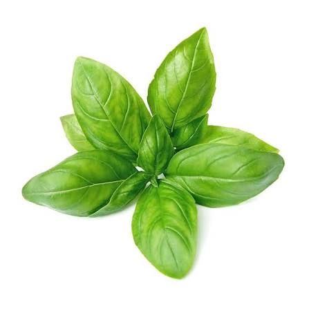 Basilic  Bouquet frais  (1x20g)