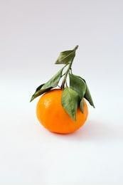 Clementine Vrac