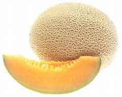 Fs.Cantaloup Bio