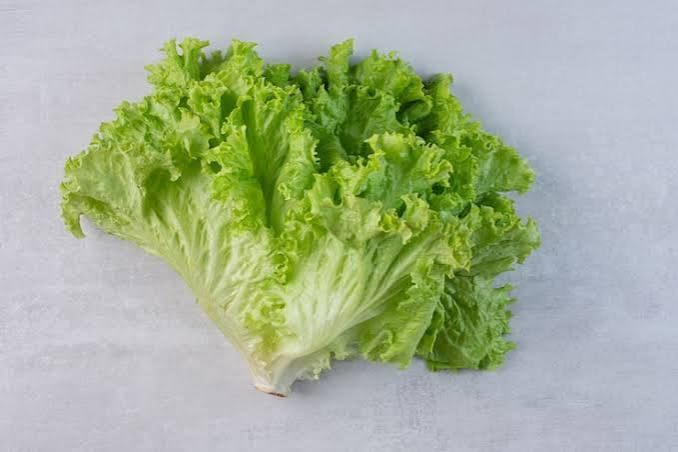 Laitue Frisée
