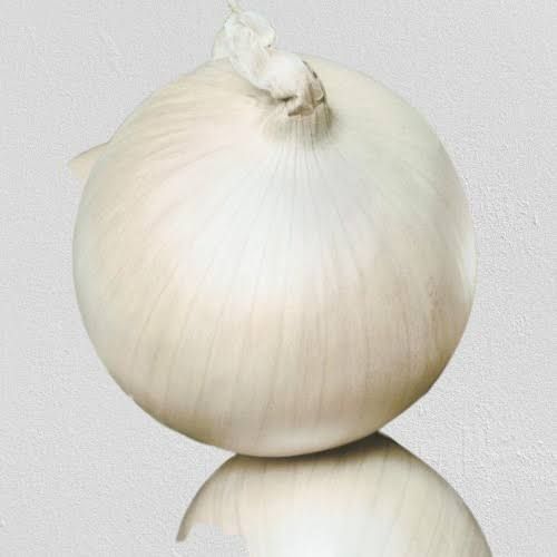 Oignon Blanc Gr : Jumbo