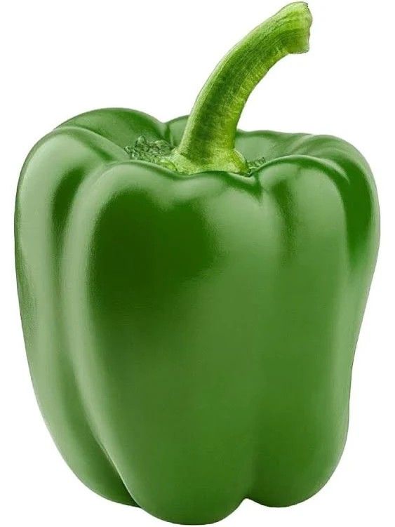 Poivron Vert (Kg)