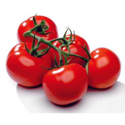 Tomate Vigne Rouge (kg)