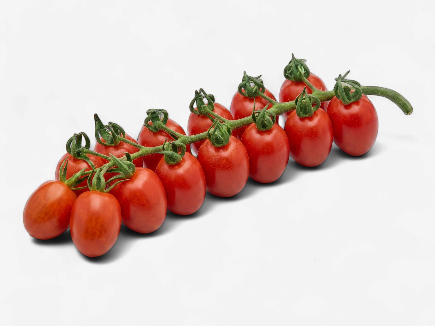 Tomate Cerise Vigne Quebec (kg)