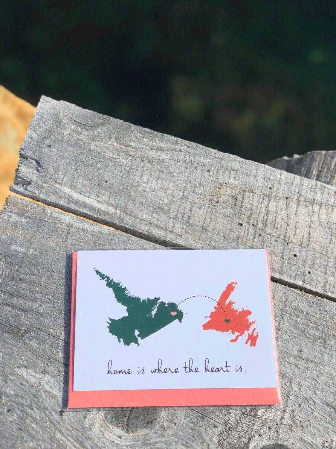 Home is Where You Are, Color: Newfoundland to Labrador
