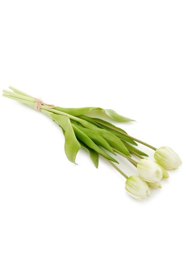 Tulip Bundle 