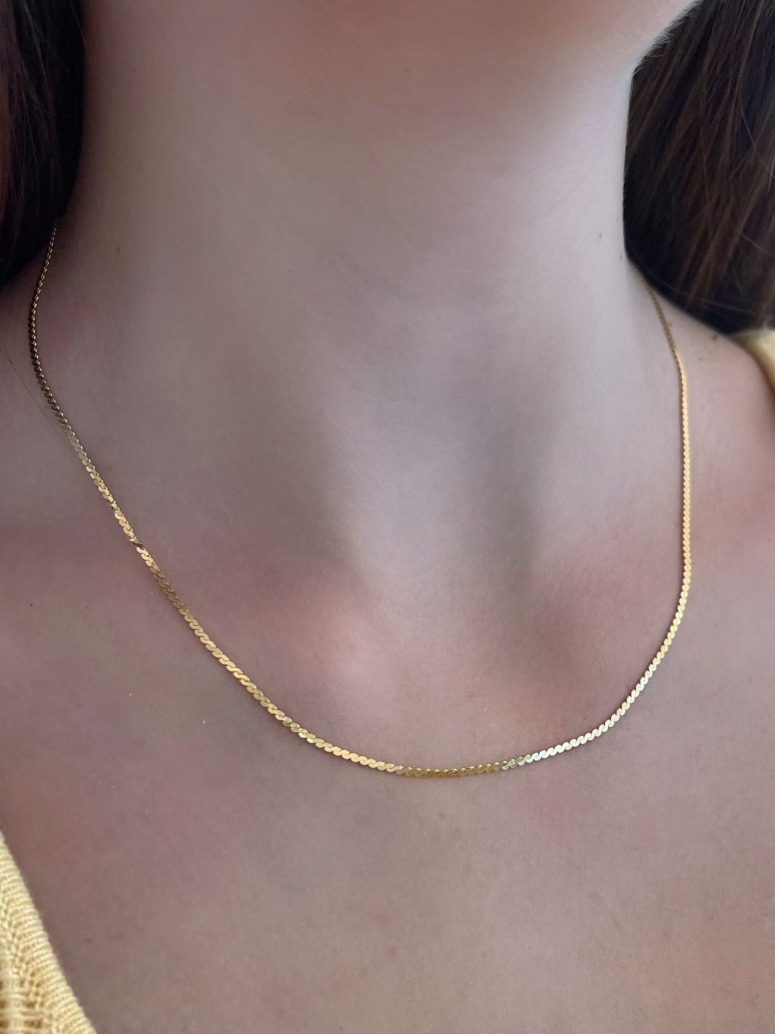 Serpentine Chain