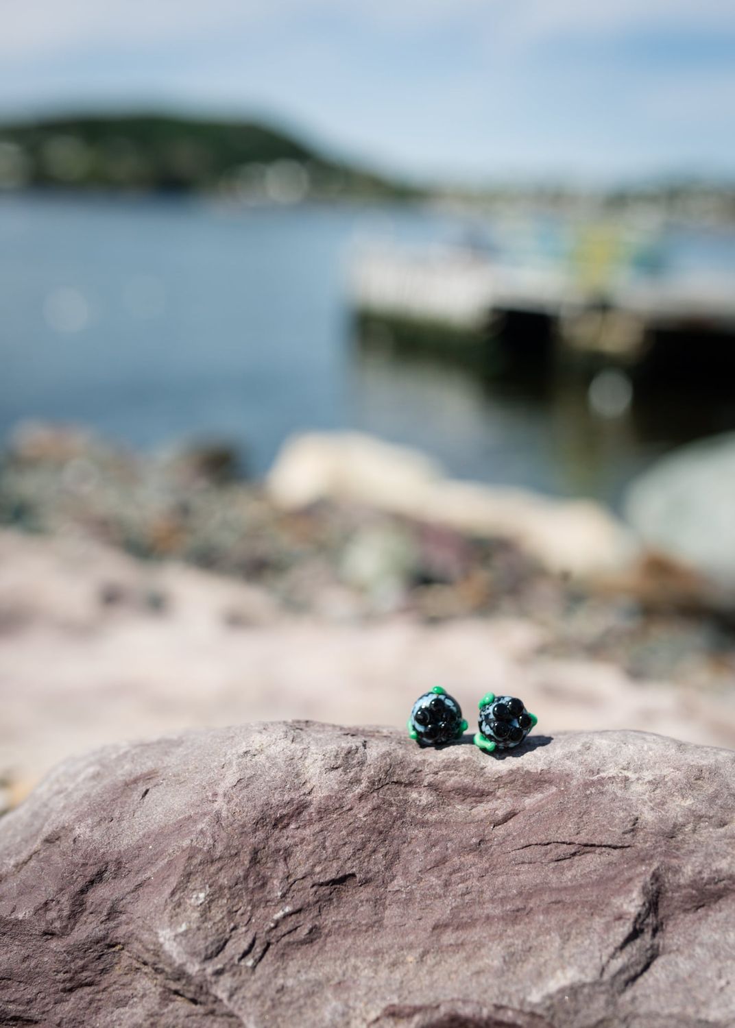 Blueberry Studs