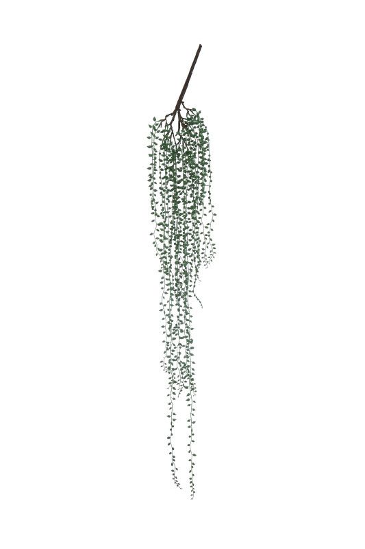 String of Pearls Pick