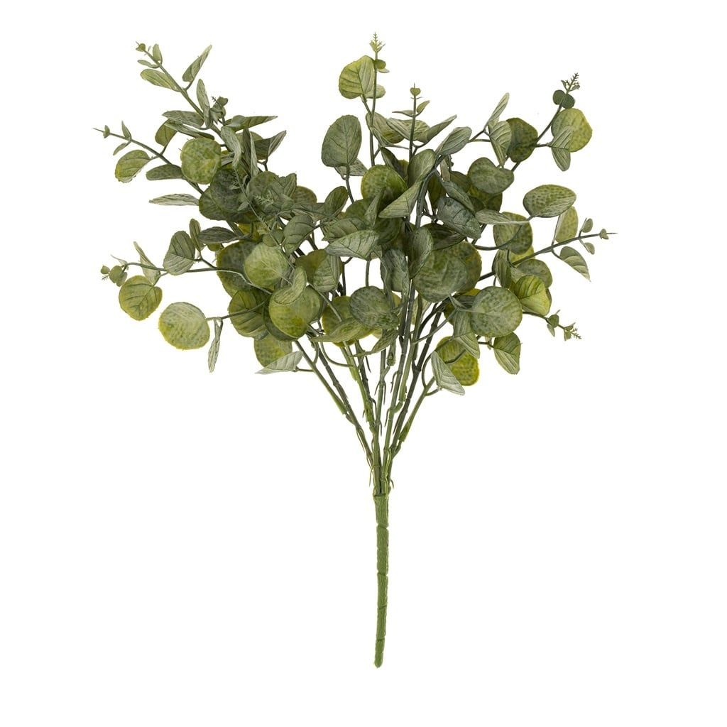 Eucalyptus Spray