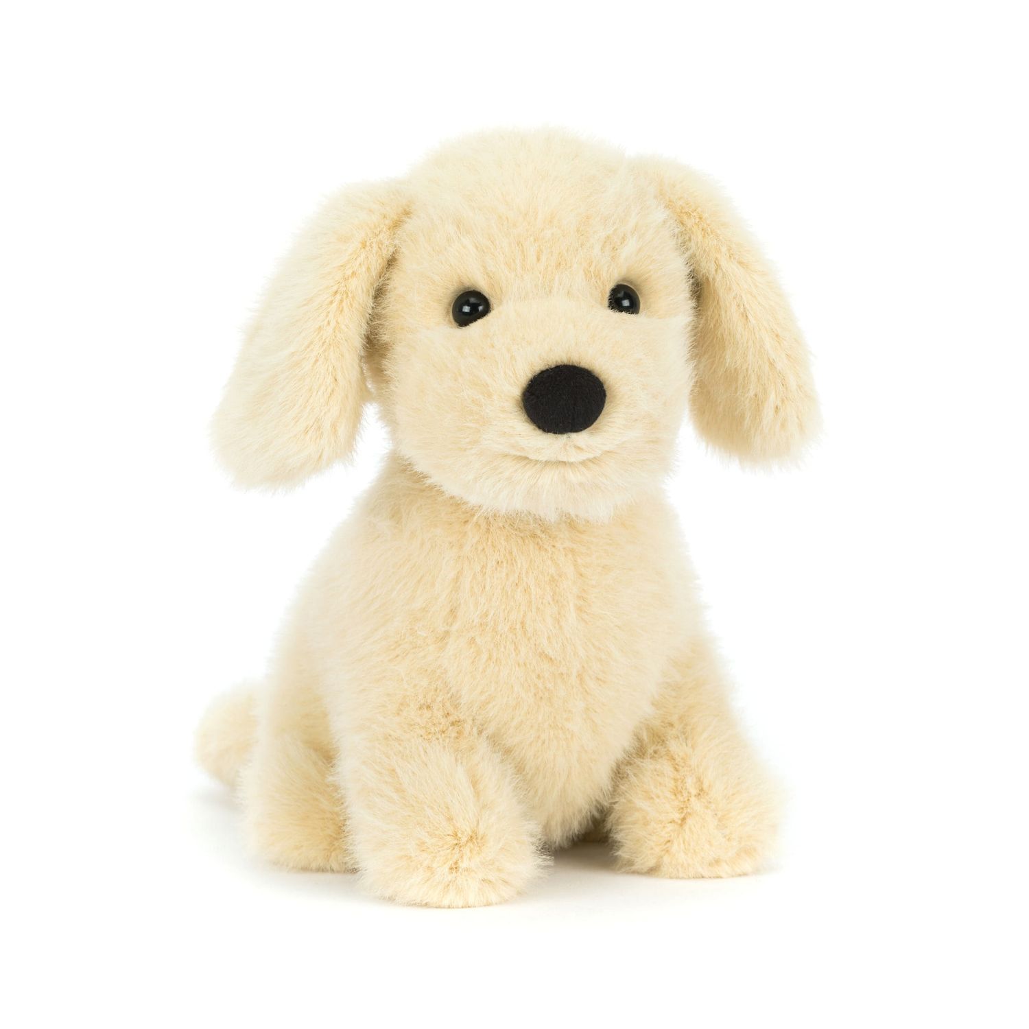 Golden Puppy