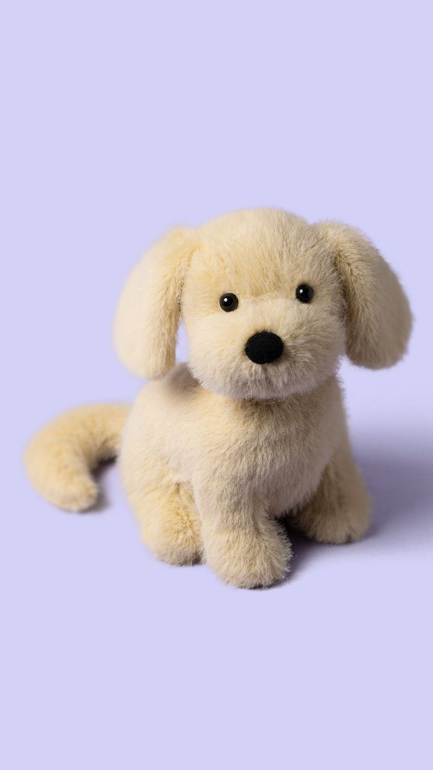 Golden Puppy