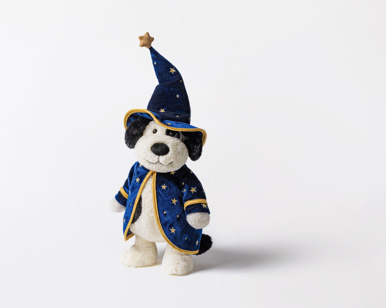 Rufferty Puppy Wizard Outfit