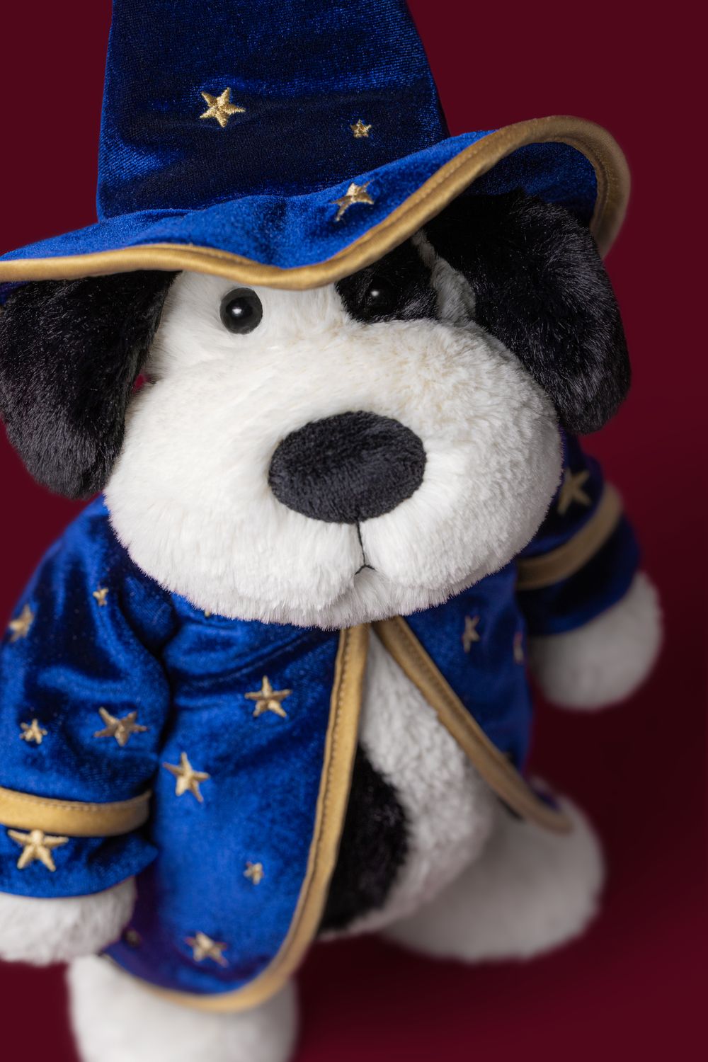 Rufferty Puppy Wizard Outfit
