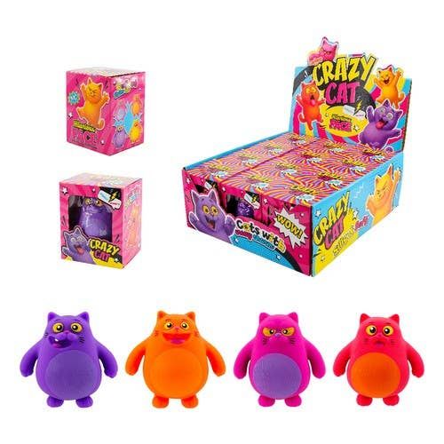 Crazy Cat Stretchy Toy