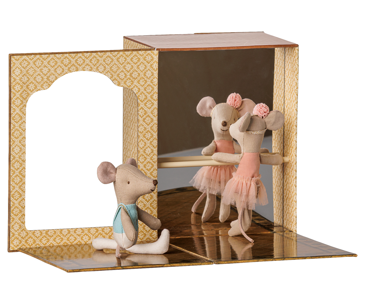 Little Sister and Brother Ballet Mice in Dance Studio