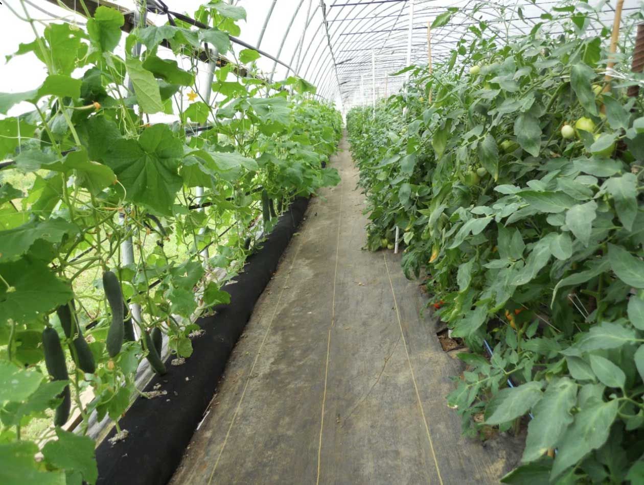 GardenSoxx® Commercial Sized Rolls