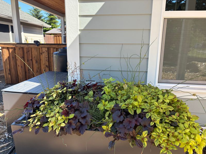 The Estuary™ - Greywater Filtration System