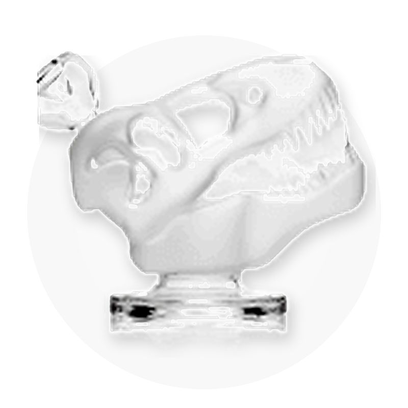 Hemper Jurassic Spark Skull Glass Bong - 4.5"
