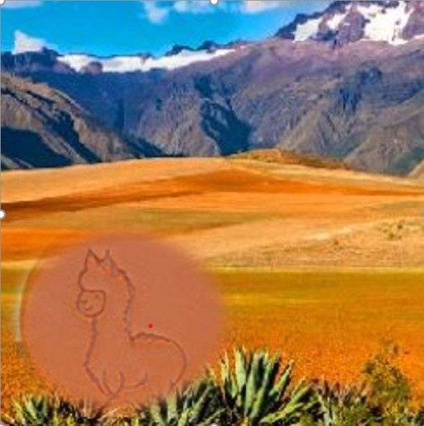 Alpakaseife Peru