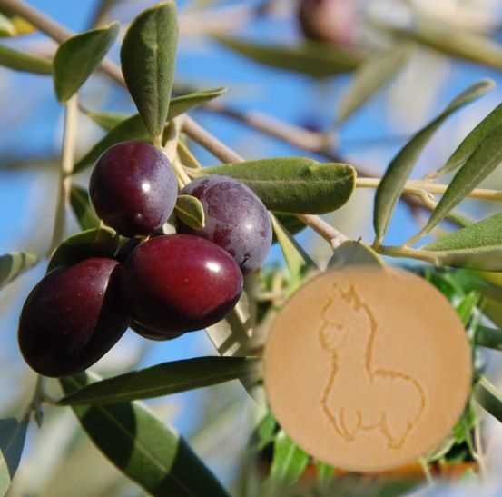 Alpakaseife Olive Alpakaseife Olive