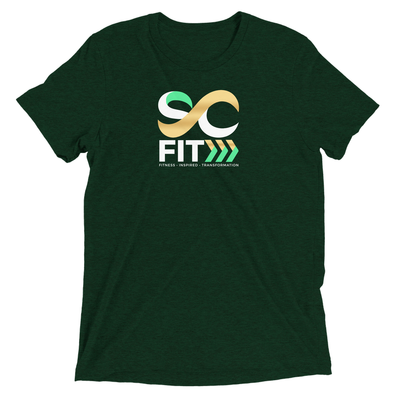 Men's Triblend Tee