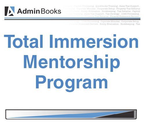 Total Immersion Mentorship