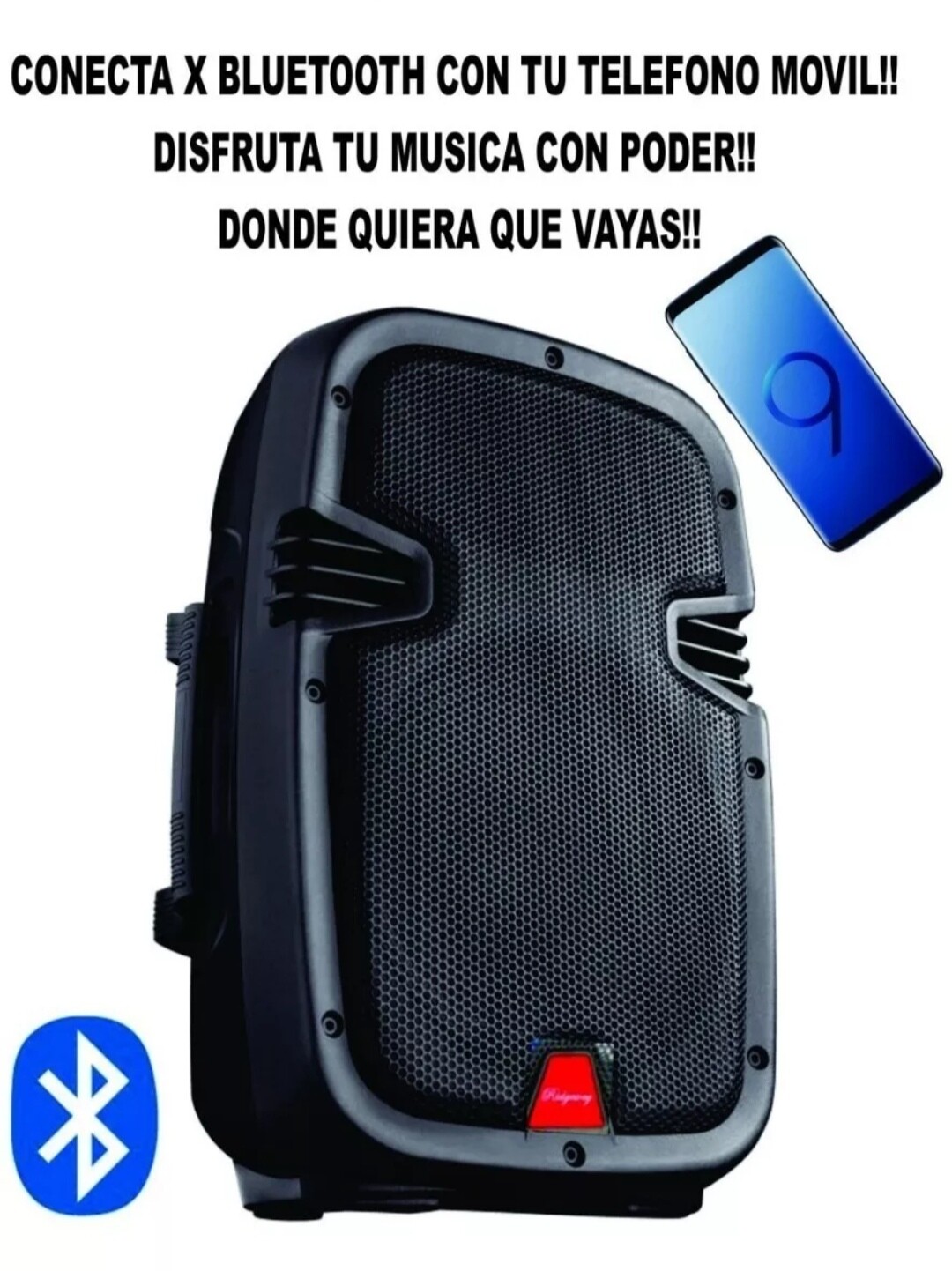 Bocina 8 pulgadas recargable (ridgeway)