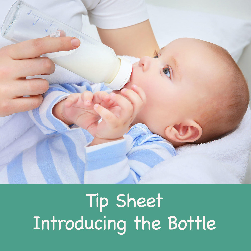 Tip Sheet - Introducing the Bottle Tip Sheet - Introducing the Bottle