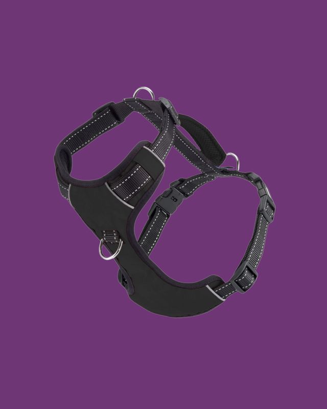 Baydog- Chesapeake Dog Harness