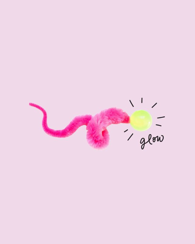 Dezi &amp; Roo- Glow Bouncy Ball Cat Toy