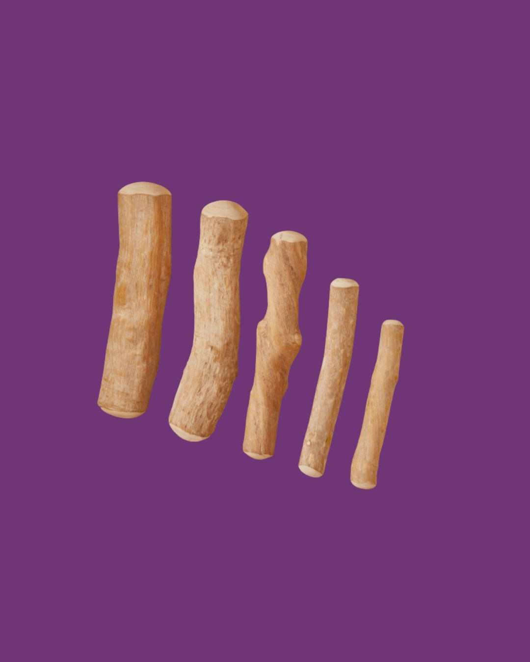 Canophera- Coffee Dog Chew Stick, Sizes: M