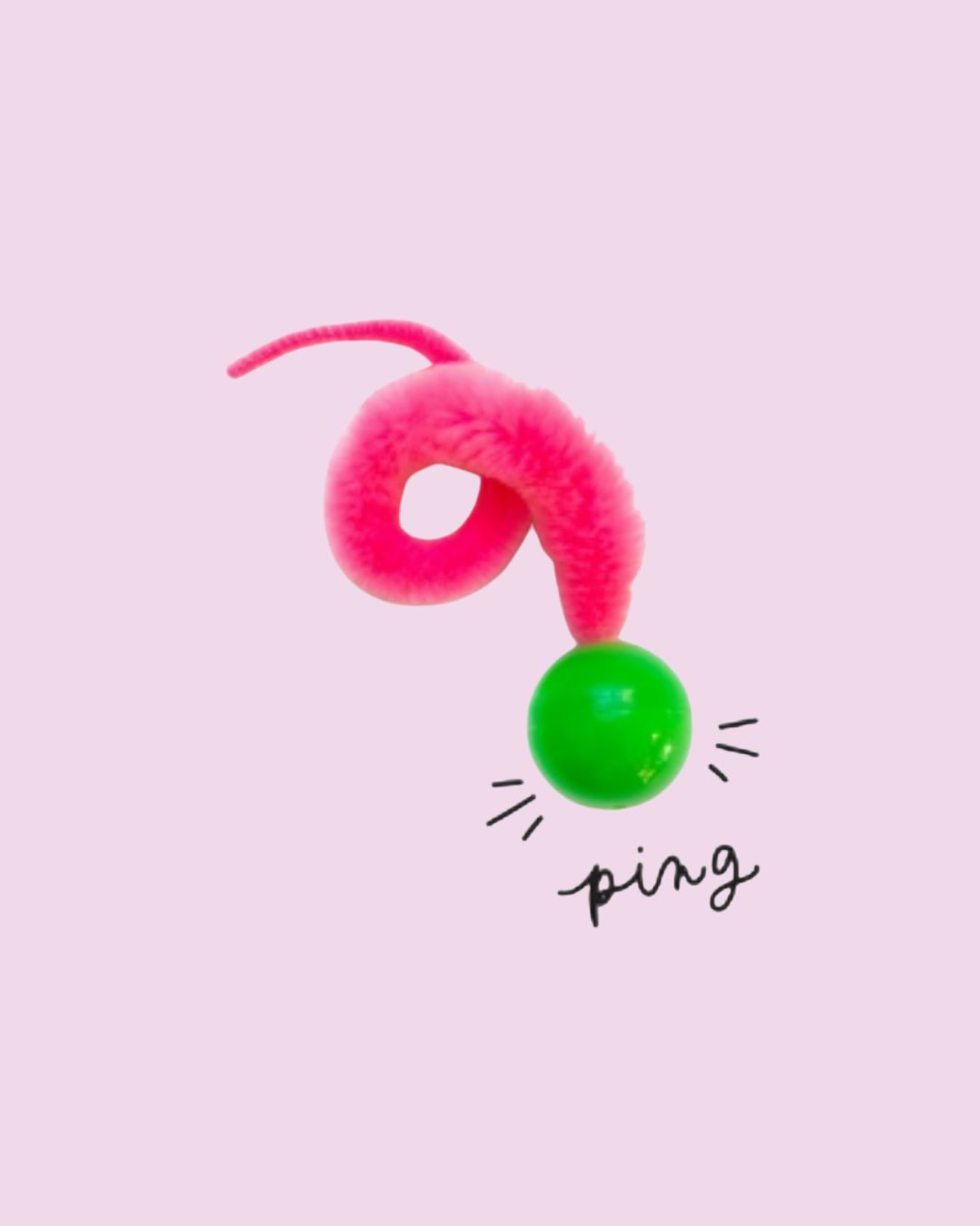 Dezi &amp; Roo- Wiggly Ping Shaker Ball