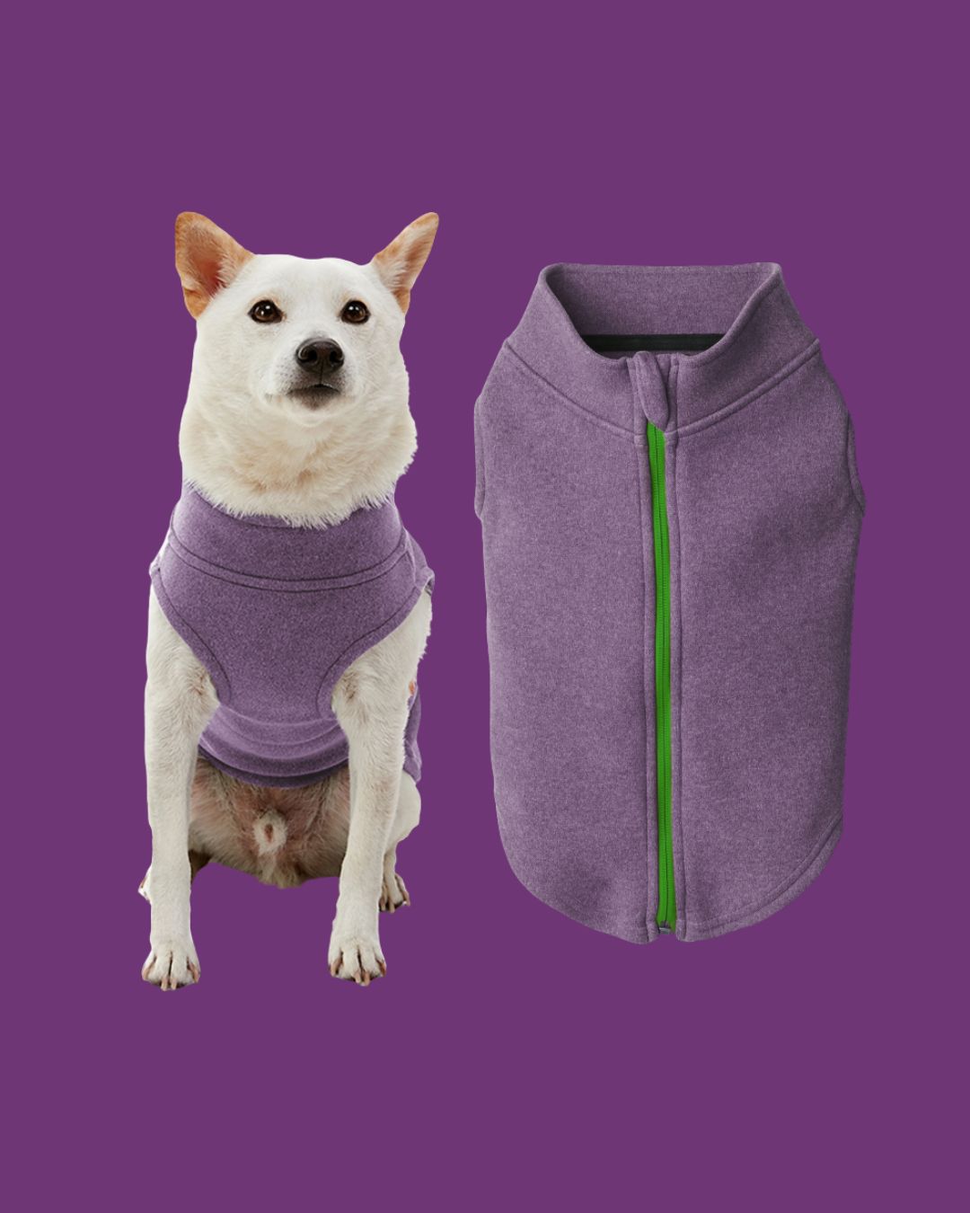 Gooby - Microfleece Sweater Jacket Zip Up purple / m, Color: Purple, Size: M