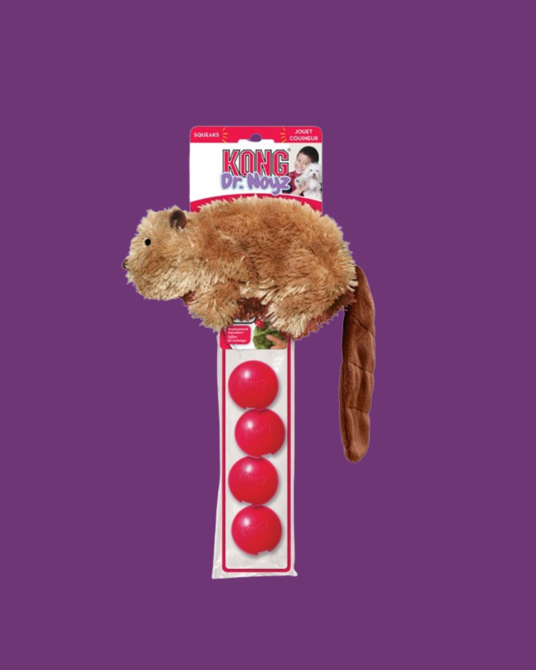 Kong Dr. Noyz Beaver- Small