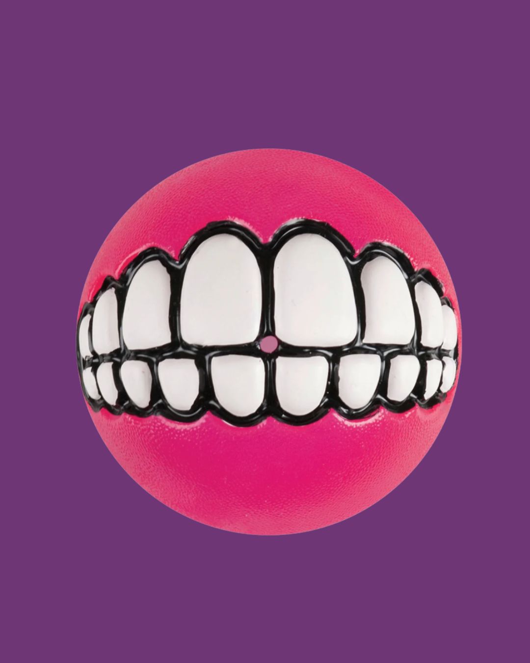 KONG- Grinz by ROGZ® Dog Fetch Toy Assorted Medium