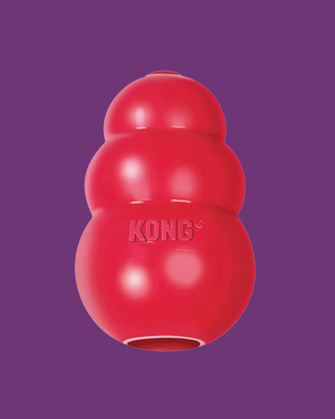 KONG Classic Dog Chew Toy XS