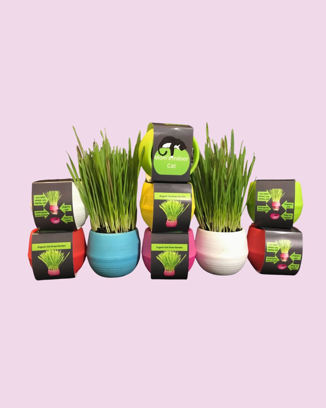 Mom's Indoor Cat- Grass Garden Balls, Colors: Blue