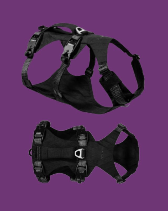 Ruffwear - Ridgeline Harness Obsidian Black