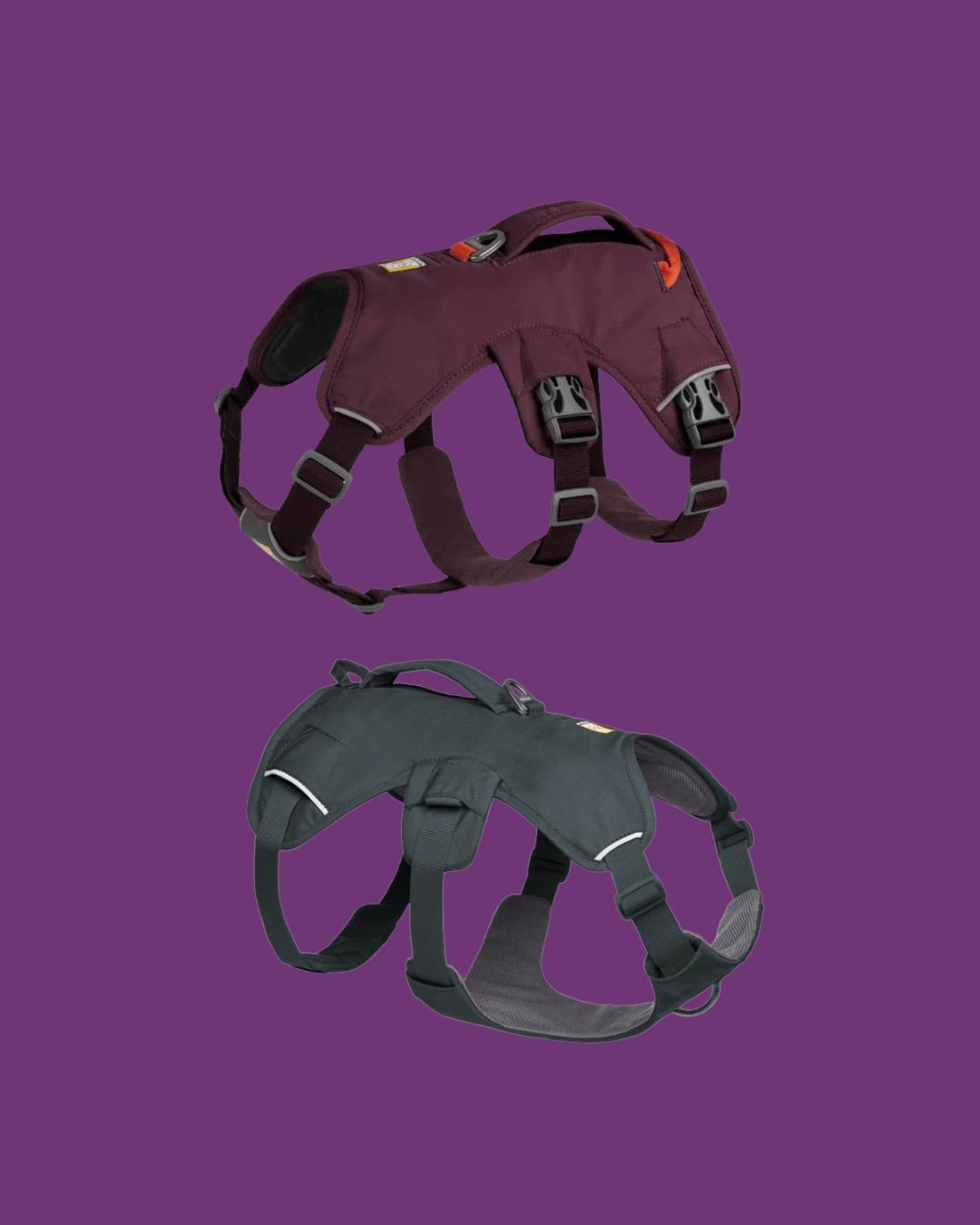Ruffwear - Web Master Dog Harness, Color: Purple Rain, Sizes: L