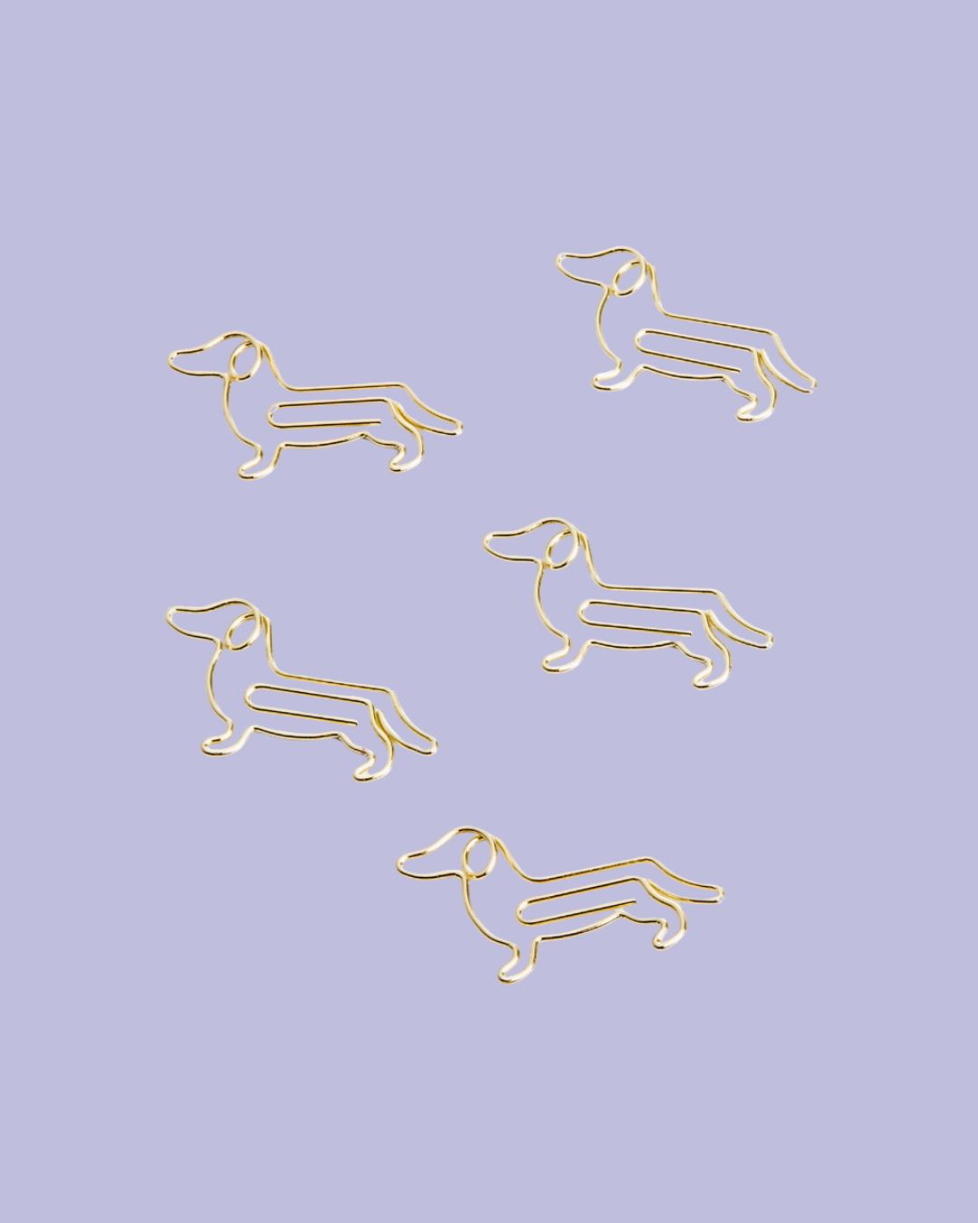 Paperclips - Dog
