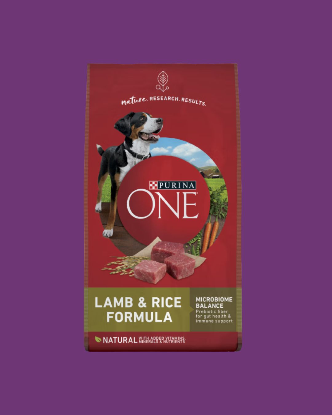 Purina One- Lamb &amp; Rice Formula Dog Food 8lb