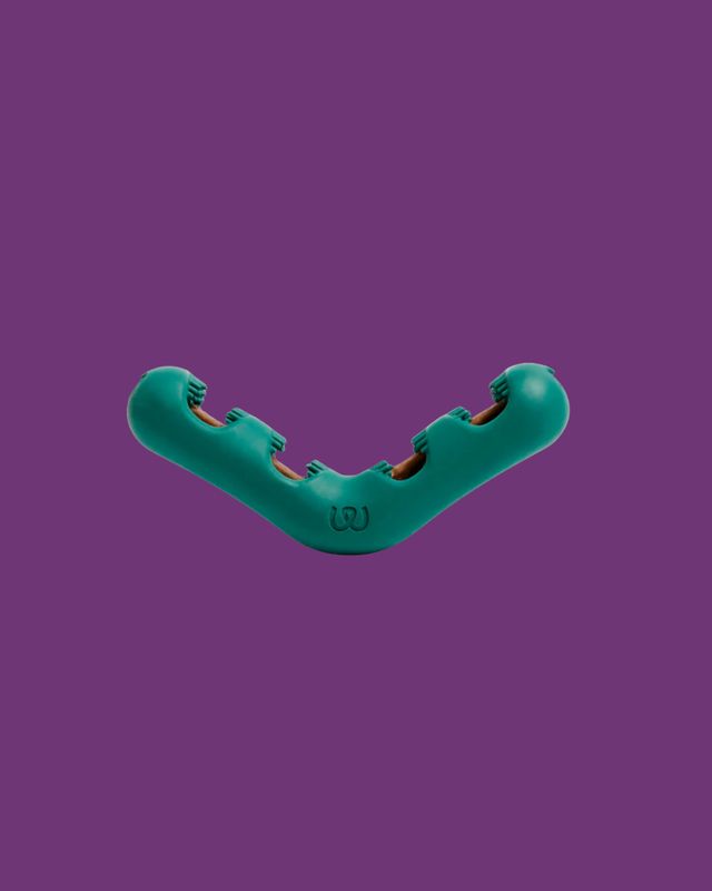 Bite and Brush Dental Treat Holder