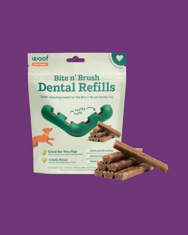 Bite &amp; Brush Dental Treat Refills