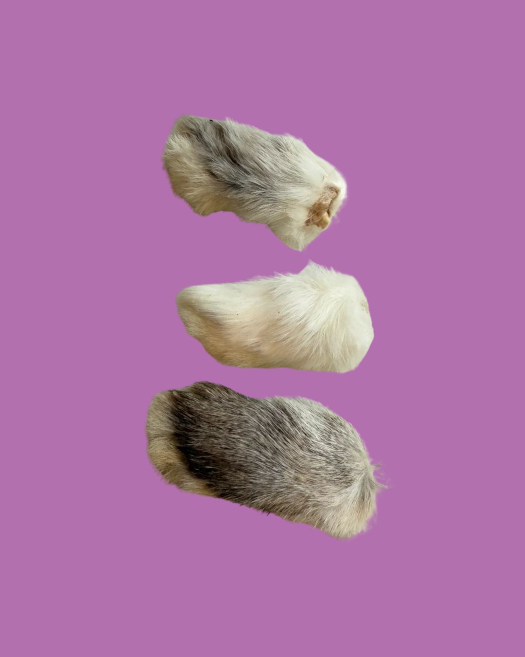Fancy Treat- Rabbit Foot