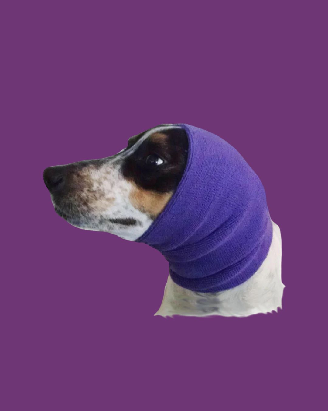 Happy Hoodie for Dogs S