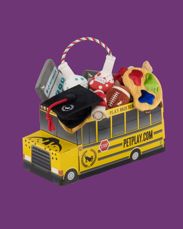 Back to School Plushies