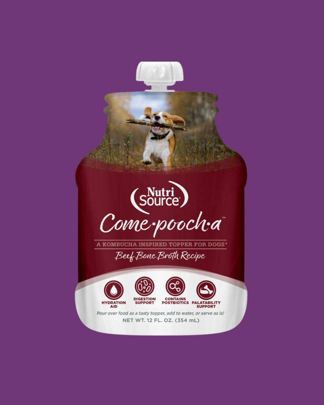 Nutrisource-Come-pooch-a Beef Bone Broth 12floz