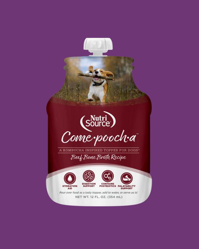 Nutrisource-Come-pooch-a Beef Bone Broth 12floz